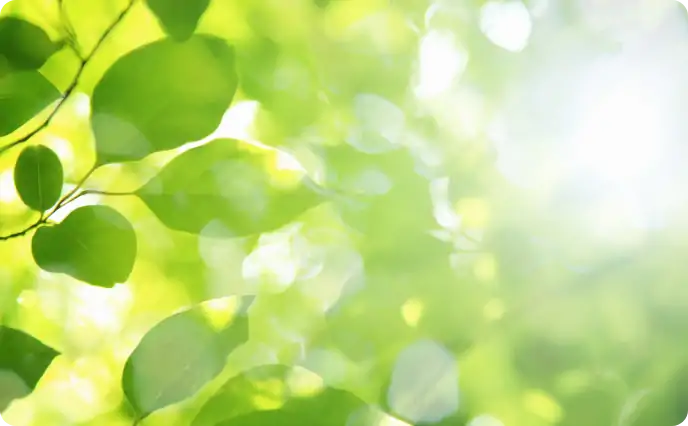 ESG info
